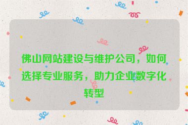 佛山網(wǎng)站建設(shè)與維護(hù)公司，如何選擇專業(yè)服務(wù)，助力企業(yè)數(shù)字化轉(zhuǎn)型