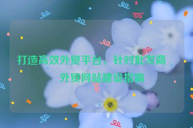打造高效外貿(mào)平臺，針對批發(fā)商的外貿(mào)網(wǎng)站建設(shè)指南