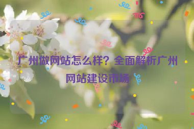 廣州做網(wǎng)站怎么樣？全面解析廣州網(wǎng)站建設市場