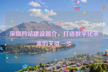 深圳網(wǎng)站建設(shè)簡介，打造數(shù)字化未來的關(guān)鍵一步