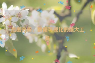 熱圖分析，數(shù)據(jù)可視化的強(qiáng)大工具
