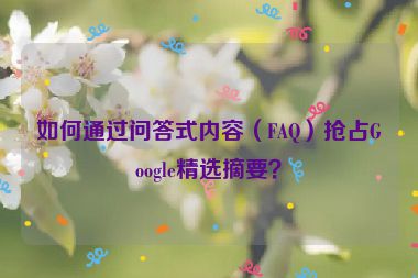 如何通過(guò)問(wèn)答式內(nèi)容（FAQ）搶占Google精選摘要？