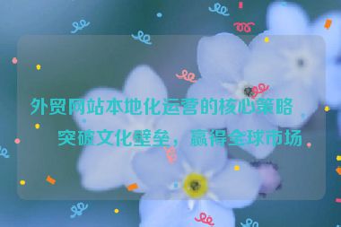 外貿(mào)網(wǎng)站本地化運(yùn)營(yíng)的核心策略，突破文化壁壘，贏得全球市場(chǎng)