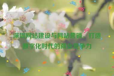 深圳網(wǎng)站建設(shè)與網(wǎng)站營(yíng)銷，打造數(shù)字化時(shí)代的商業(yè)競(jìng)爭(zhēng)力