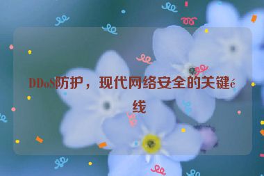 DDoS防護(hù)，現(xiàn)代網(wǎng)絡(luò)安全的關(guān)鍵防線