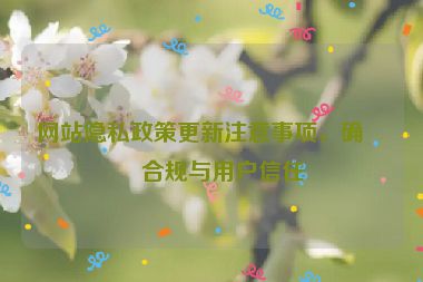 網(wǎng)站隱私政策更新注意事項，確保合規(guī)與用戶信任