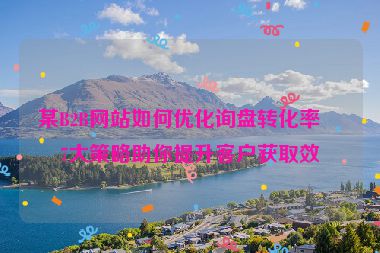 某B2B網(wǎng)站如何優(yōu)化詢(xún)盤(pán)轉(zhuǎn)化率？7大策略助你提升客戶(hù)獲取效率