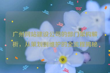 廣州網(wǎng)站建設(shè)公司的部門架構(gòu)解析，從策劃到維護(hù)的全流程揭秘