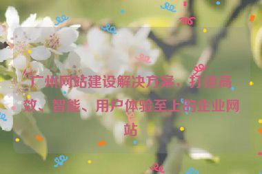 廣州網(wǎng)站建設(shè)解決方案，打造高效、智能、用戶體驗(yàn)至上的企業(yè)網(wǎng)站