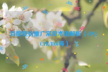 百度競(jìng)價(jià)推廣常見術(shù)語解析（CPC/CTR/ROI等）