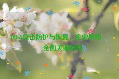 DDoS攻擊防護(hù)與恢復(fù)，企業(yè)網(wǎng)絡(luò)安全的關(guān)鍵防線