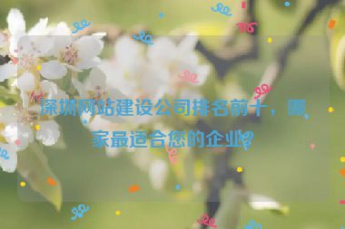 深圳網(wǎng)站建設(shè)公司排名前十，哪家最適合您的企業(yè)？