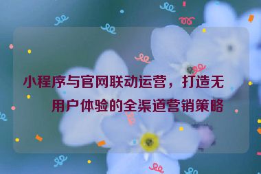 小程序與官網(wǎng)聯(lián)動運營，打造無縫用戶體驗的全渠道營銷策略