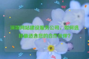 深圳網(wǎng)站建設(shè)服務(wù)公司，如何選擇最適合您的合作伙伴？