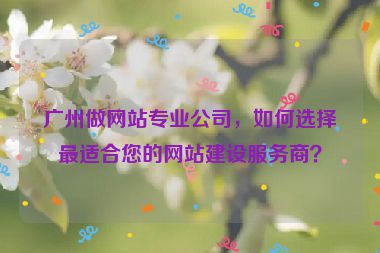 廣州做網(wǎng)站專業(yè)公司，如何選擇最適合您的網(wǎng)站建設服務商？