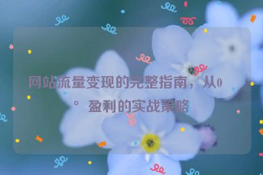 網(wǎng)站流量變現(xiàn)的完整指南，從0到盈利的實(shí)戰(zhàn)策略