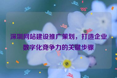 深圳網(wǎng)站建設(shè)推廣策劃，打造企業(yè)數(shù)字化競(jìng)爭力的關(guān)鍵步驟