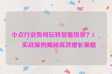 小眾行業(yè)如何玩轉(zhuǎn)智能投放？3個實戰(zhàn)案例揭秘高效增長策略