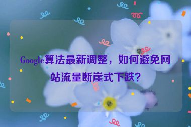Google算法最新調(diào)整，如何避免網(wǎng)站流量斷崖式下跌？