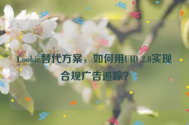 Cookie替代方案，如何用UID 2.0實(shí)現(xiàn)合規(guī)廣告追蹤？