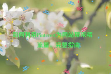 如何利用Pinterest為網(wǎng)站帶來(lái)精準(zhǔn)流量，完整指南