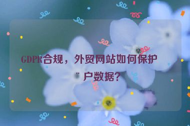 GDPR合規(guī)，外貿(mào)網(wǎng)站如何保護(hù)用戶(hù)數(shù)據(jù)？