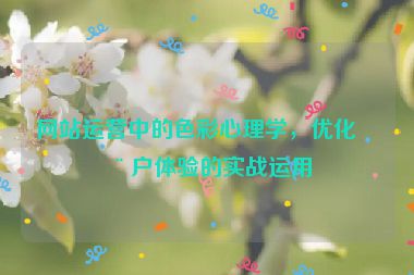 網(wǎng)站運營中的色彩心理學，優(yōu)化用戶體驗的實戰(zhàn)運用