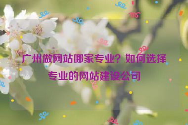 廣州做網(wǎng)站哪家專業(yè)？如何選擇專業(yè)的網(wǎng)站建設公司