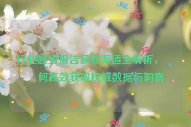 行業(yè)趨勢報告獲取渠道全解析，如何高效獲取權威數(shù)據(jù)與洞察