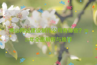 佛山網(wǎng)站建設(shè)制作公司有哪些？2023年全面解析與推薦