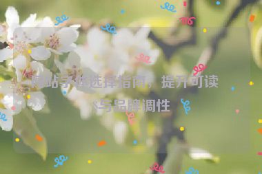 網(wǎng)站字體選擇指南，提升可讀性與品牌調(diào)性