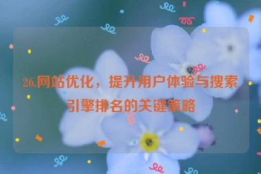 26.網(wǎng)站優(yōu)化，提升用戶體驗(yàn)與搜索引擎排名的關(guān)鍵策略
