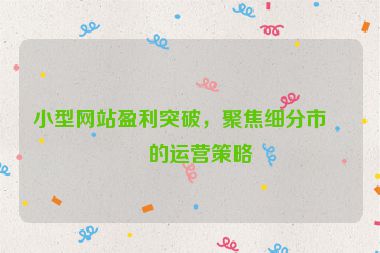 小型網(wǎng)站盈利突破，聚焦細分市場的運營策略
