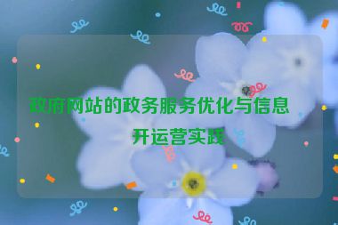 政府網(wǎng)站的政務(wù)服務(wù)優(yōu)化與信息公開運營實踐
