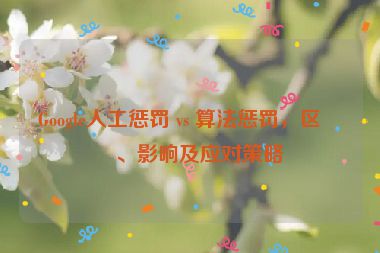 Google人工懲罰 vs 算法懲罰，區(qū)別、影響及應對策略
