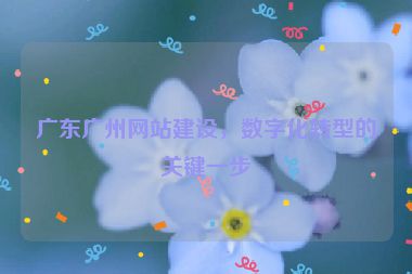 廣東廣州網(wǎng)站建設(shè)，數(shù)字化轉(zhuǎn)型的關(guān)鍵一步