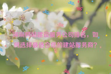 深圳網(wǎng)站建設(shè)服務(wù)公司排名，如何選擇最適合您的建站服務(wù)商？