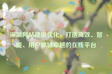 深圳網(wǎng)站建設(shè)優(yōu)化，打造高效、智能、用戶體驗卓越的在線平臺