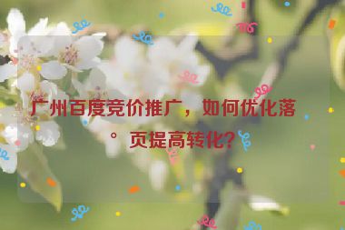 廣州百度競價推廣，如何優(yōu)化落地頁提高轉(zhuǎn)化？