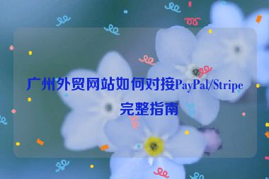 廣州外貿(mào)網(wǎng)站如何對接PayPal/Stripe？完整指南