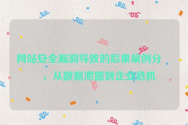 網(wǎng)站安全漏洞導(dǎo)致的后果案例分析，從數(shù)據(jù)泄露到企業(yè)危機(jī)