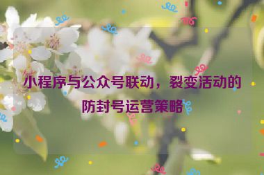 小程序與公眾號聯(lián)動，裂變活動的防封號運(yùn)營策略