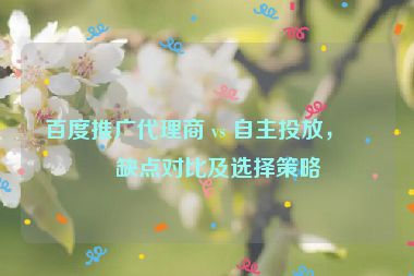 百度推廣代理商 vs 自主投放，優(yōu)缺點(diǎn)對(duì)比及選擇策略