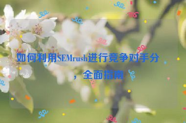 如何利用SEMrush進行競爭對手分析，全面指南