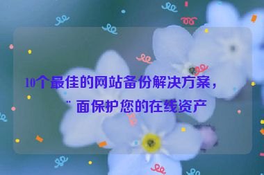 10個(gè)最佳的網(wǎng)站備份解決方案，全面保護(hù)您的在線資產(chǎn)