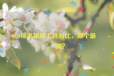 SEO排名跟蹤工具對比，哪個(gè)最準(zhǔn)確？