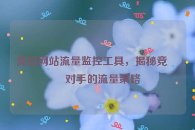 競品網(wǎng)站流量監(jiān)控工具，揭秘競爭對手的流量策略