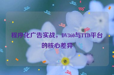 程序化廣告實戰(zhàn)，DV360與TTD平臺的核心差異