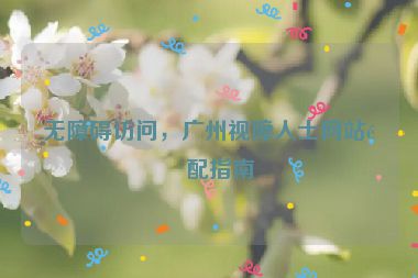 無(wú)障礙訪問(wèn)，廣州視障人士網(wǎng)站適配指南