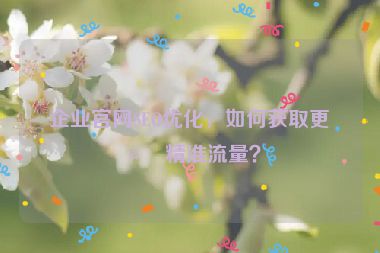 企業(yè)官網(wǎng)SEO優(yōu)化，如何獲取更多精準(zhǔn)流量？